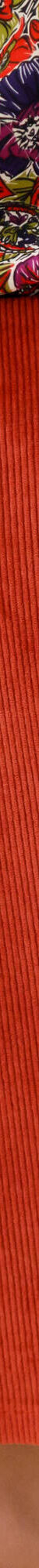 Jupe trapèze en velours (paprika) Jupe trapèze en velours (paprika)